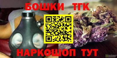 индика Кунгур