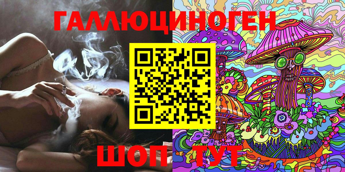 Псилоцибиновые грибы Psilocybine cubensis Белорецк